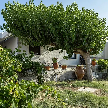 Tatil Evi Unique 2 Bdr Popi In Front Of The Sea